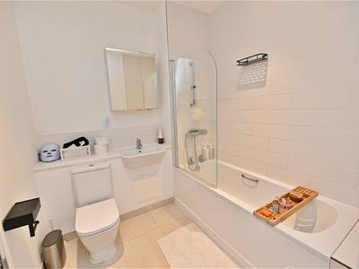 Picture 8